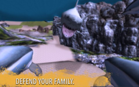 海豚家族模拟器 2020-05-25 10:51