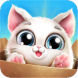 口袋猫咪破解版