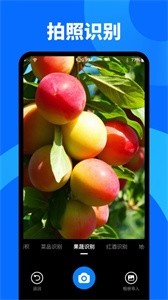 子甘文字扫描大师  v1.2.0