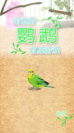 治愈的鹦鹉育成 v3.0.5