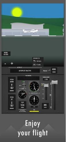 飞行模拟器2D2021截图0