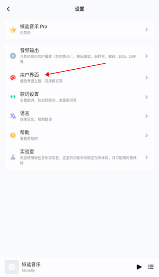 椒盐音乐车机版