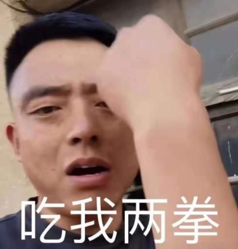 铁山靠邦邦两拳表情包图片 v1.0