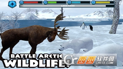 北极熊模拟官方版 北极熊模拟官方版