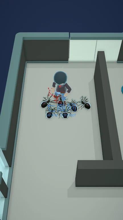 蜘蛛帮派Spider Gang