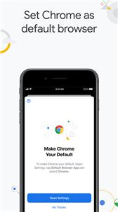 谷歌浏览器安卓版