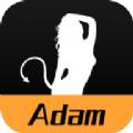 Adam交友
