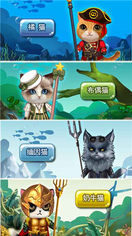 猫猫水族馆.jpg