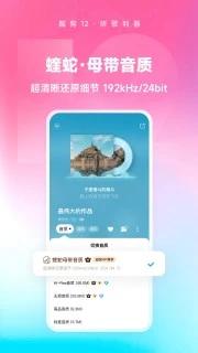 酷狗音乐app最新版截图2