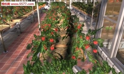 农民的追求 v3.1.5