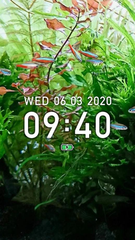 迷你水族:热带鱼缸 v3.0.5