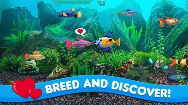 养鱼大亨2手机版 v1.10.14