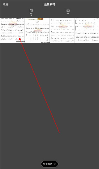 flowphoto小海豚免会员版