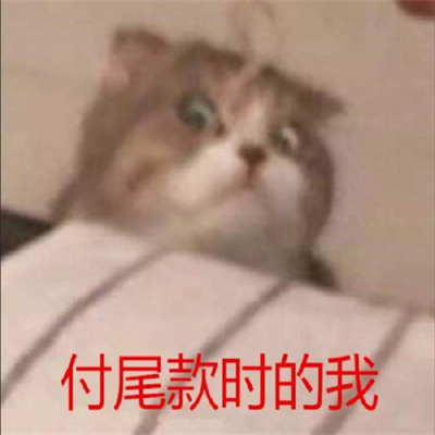 618付尾款表情包.jpg 618付尾款表情包.jpg