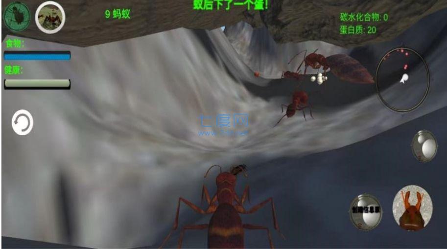 奇妙动物世界探险游戏 v1.0