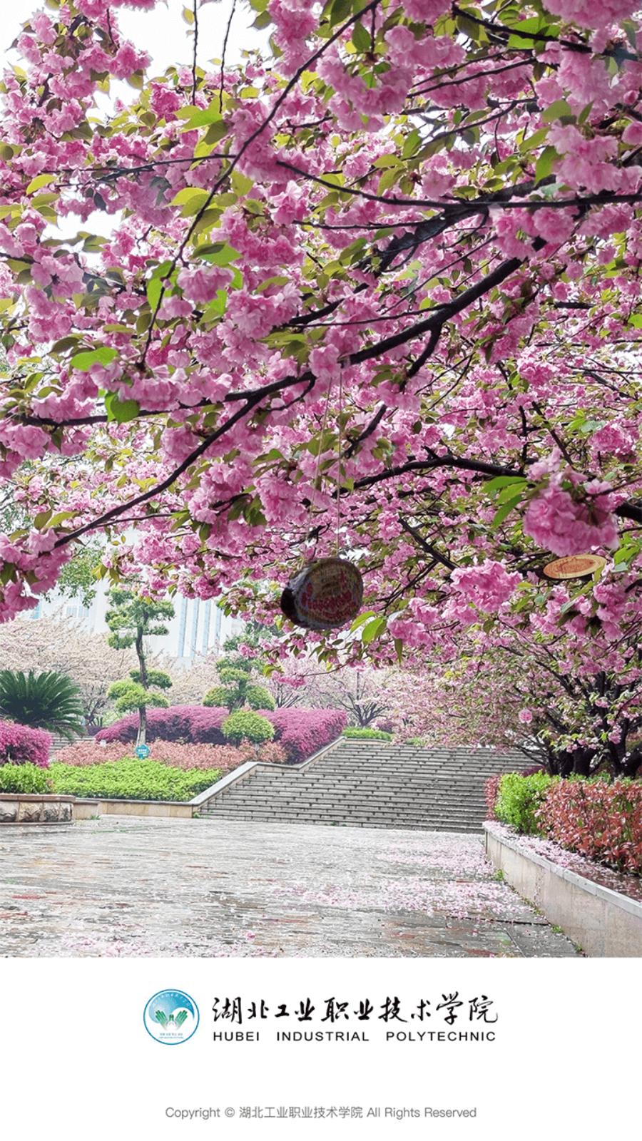 湖工职院  vHBGZ_3.2.0