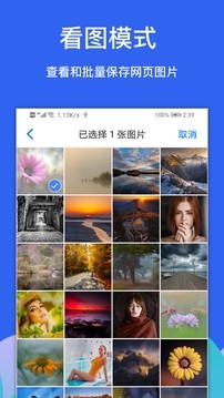 alook浏览器安卓版  v8.1