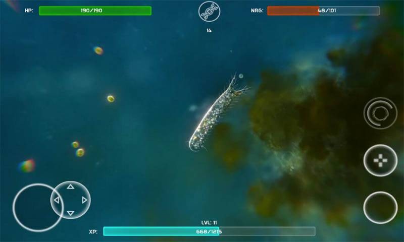 孢子的起源  v40.54