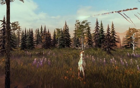 幸存余波 2020-05-15 14:00