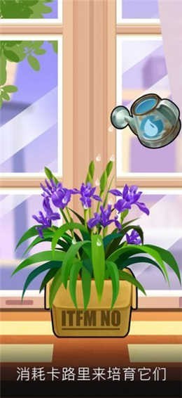 我有个花园正版红包  v1.0.3