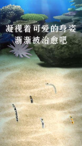 养育花园鳗的治愈游戏 v3.0.5