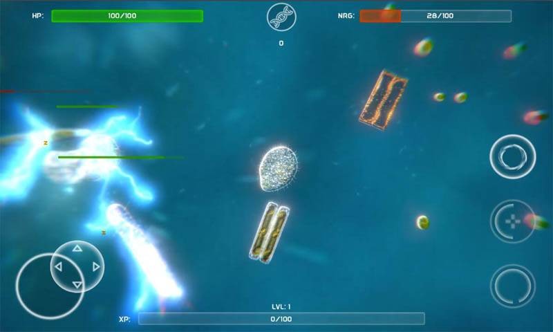 孢子的起源  v40.54