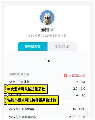 嗷呜猫狗食谱app