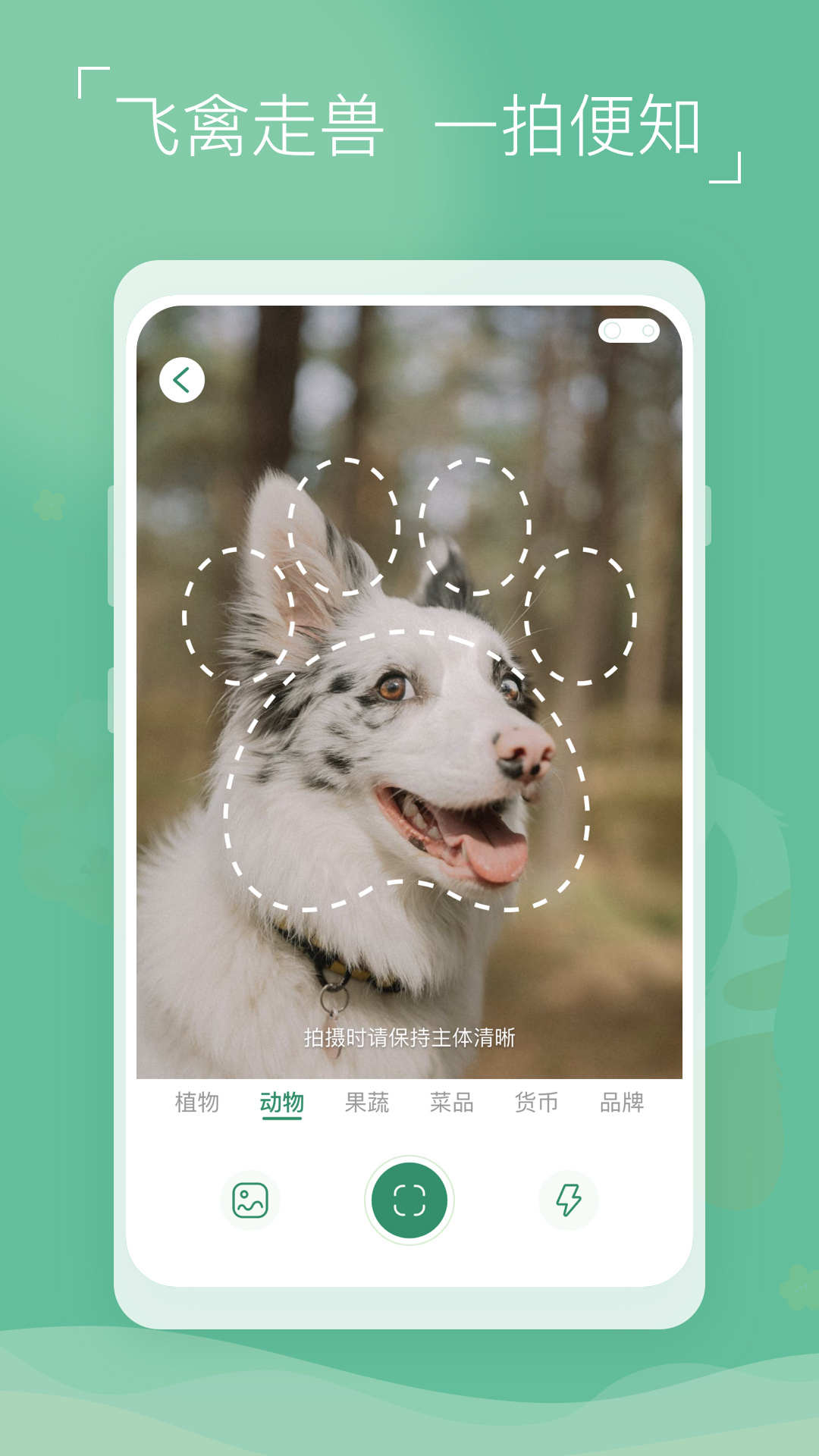 植物识别宝 v1.0.2