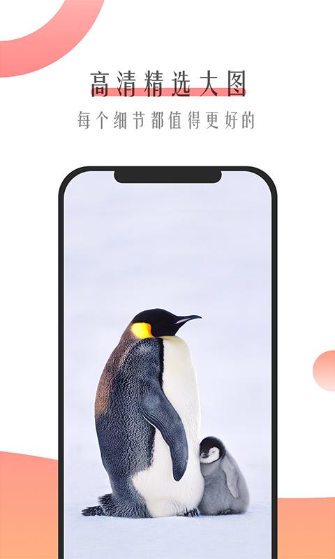 米柚壁纸 v1.0.36