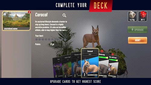 野生动物冲突 v1.4