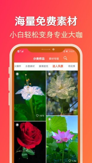 淘素材app v2.5