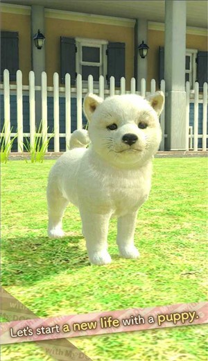 和我的狗在一起 2024-06-25 15:08