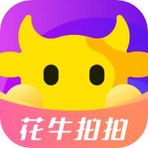 花牛拍拍app