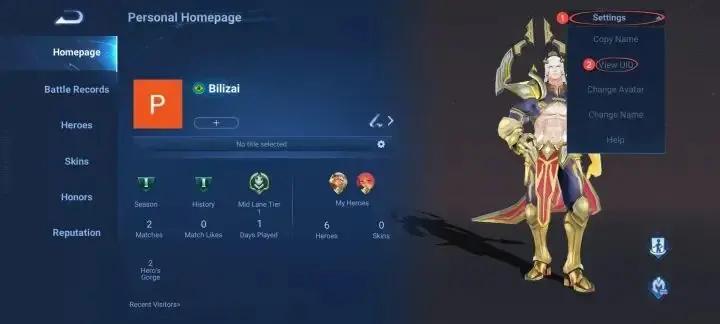 王者荣耀国际服