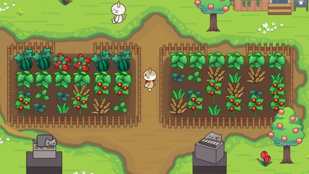 猫咪森林游戏安卓最新版下载  v3.1.2