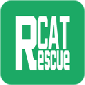 救援猫