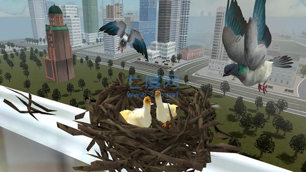 鸽子生存模拟 v1.0.0