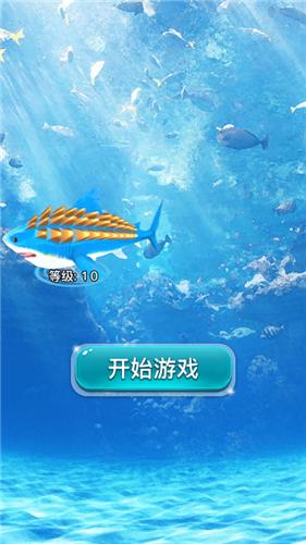 鲨鱼升级大作战