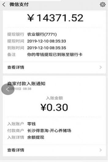 分红猪游戏 v3.38