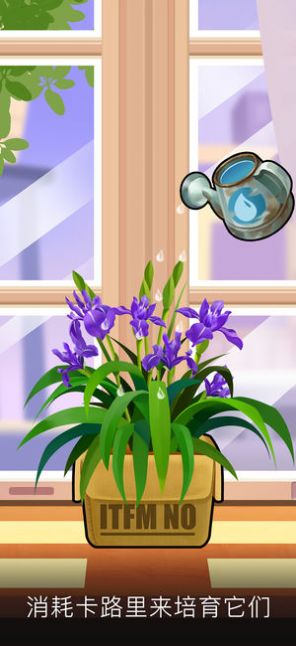 我的花园免费红包版  v3.3.3