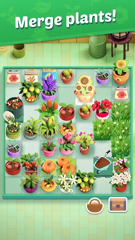 植株合并花园 v2.23.3