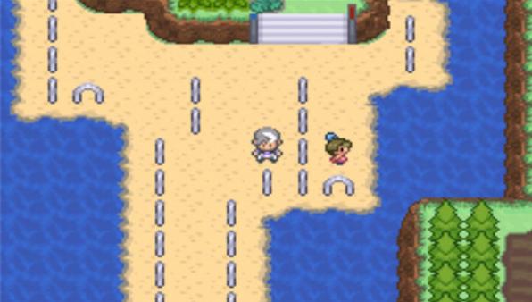 口袋妖怪生与死中文版截图1