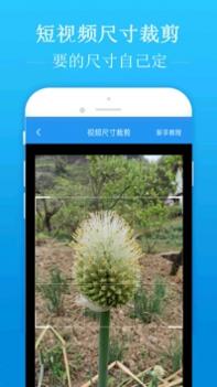 去水印吧 v3.0.5