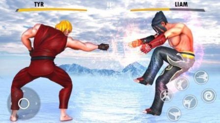 功夫街战斗英雄游戏安卓版  v5.1.3