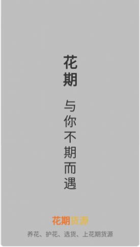 花期货源安卓版app  v3.3.4