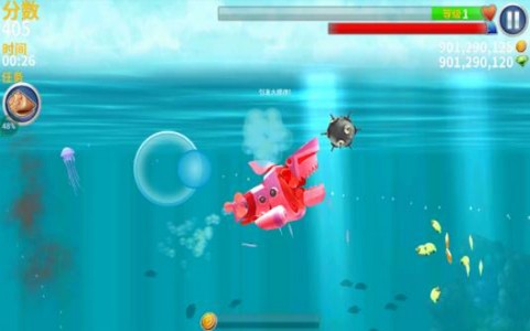 鲨鱼的可怕袭击 2020-01-15 16:03