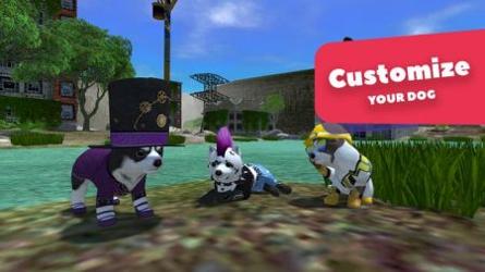 美国Zoom动物 v3.1.5