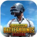 PUBG MOBILE(国际服)中文版免费下载 