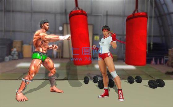 职业摔跤模拟器 v1.0