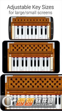 簧风琴(Harmonium)